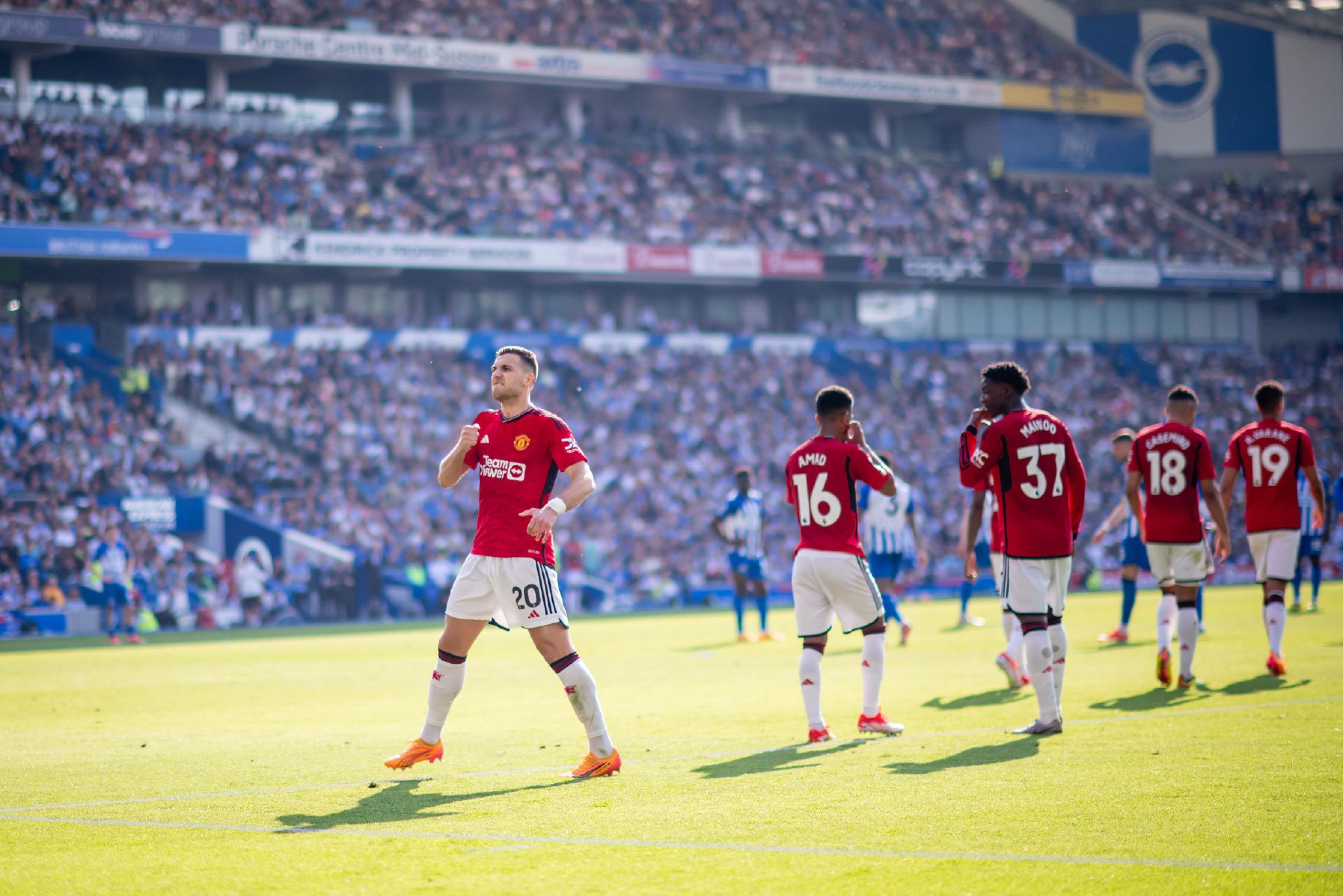 针对搜索引 针对搜索引