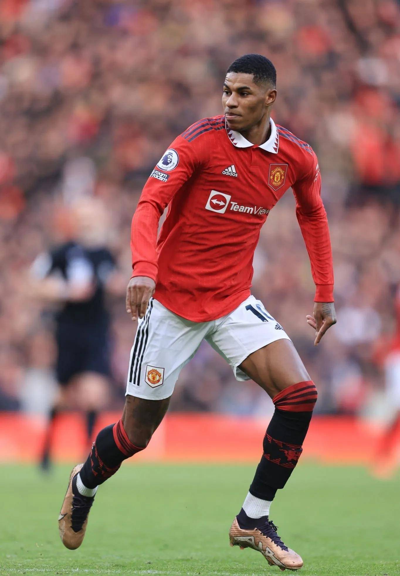 南特的立场 南特的立场